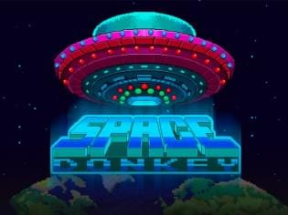 Space Donkey game cover
